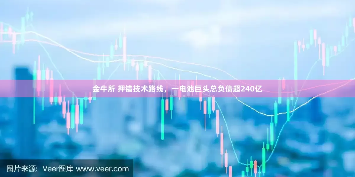 金牛所 押错技术路线，一电池巨头总负债超240亿