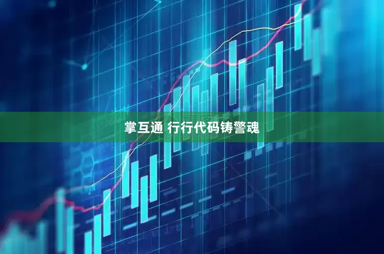 掌互通 行行代码铸警魂