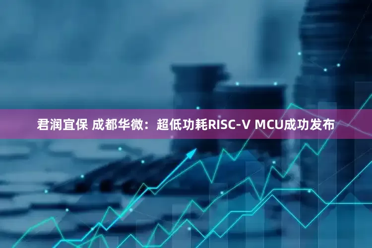 君润宜保 成都华微：超低功耗RISC-V MCU成功发布