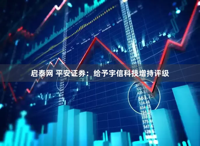 启泰网 平安证券：给予宇信科技增持评级