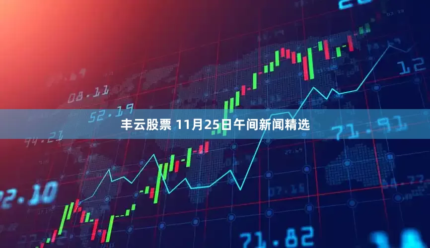 丰云股票 11月25日午间新闻精选