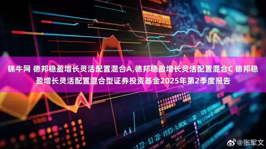 锦牛网 德邦稳盈增长灵活配置混合A,德邦稳盈增长灵活配置混合C 德邦稳盈增长灵活配置混合型证券投资基金2025年第2季度报告